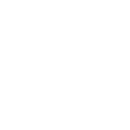 Circuitos